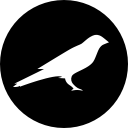 KSM logo